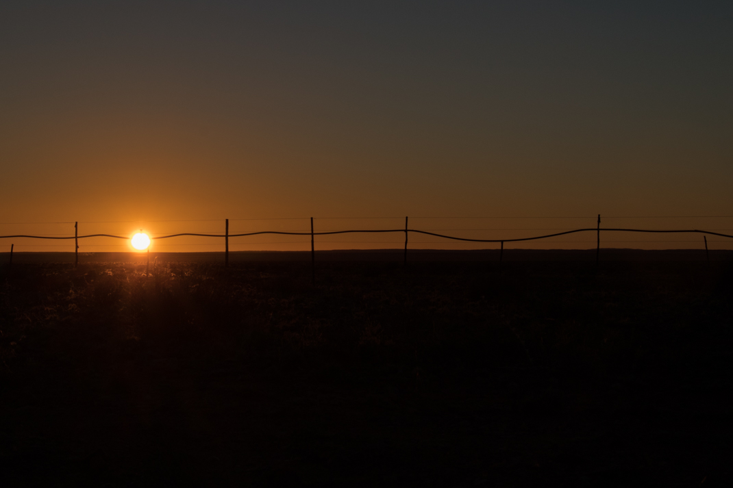 fence sunset