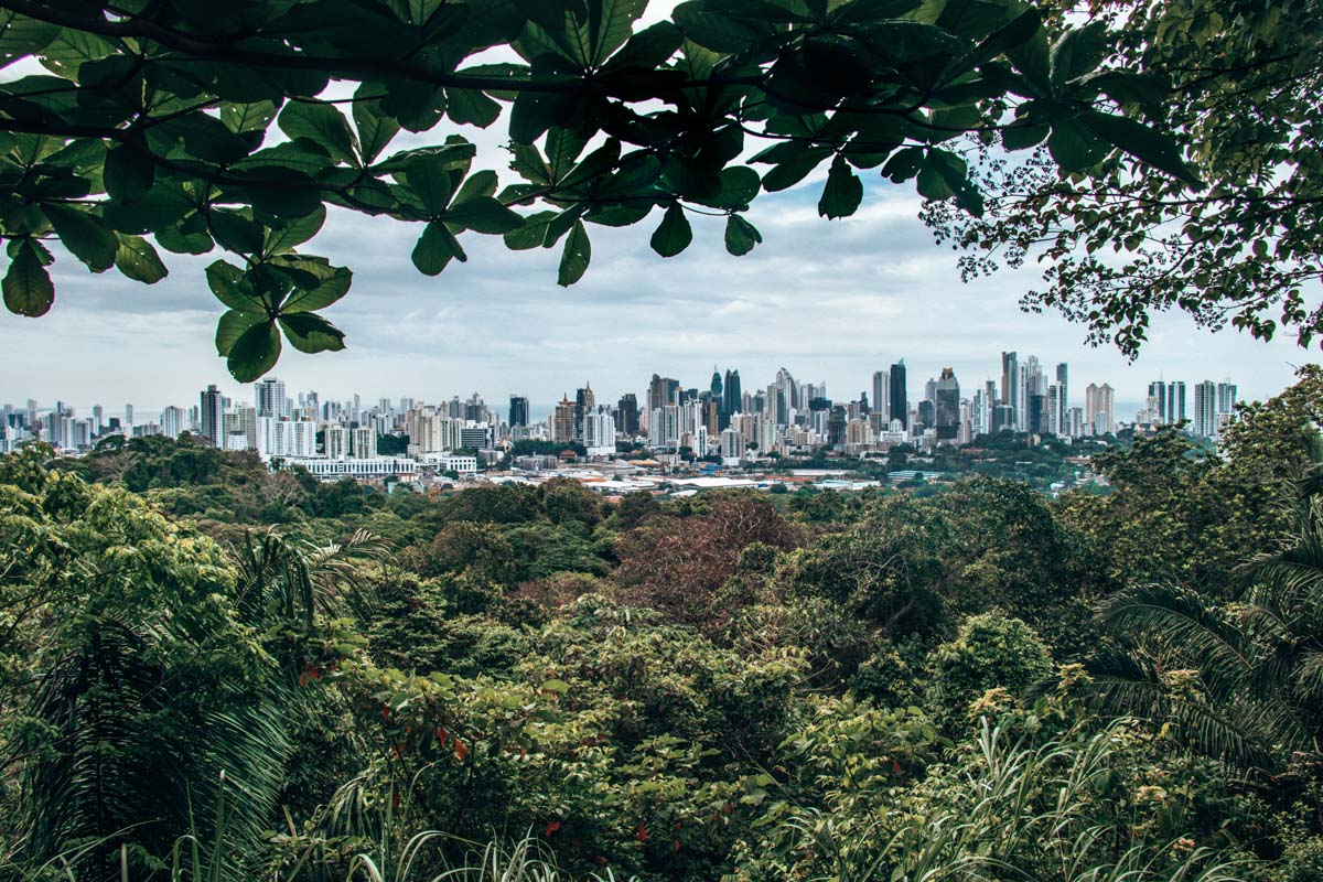 Panama City Highlights - Exploring Parque Metropolitano