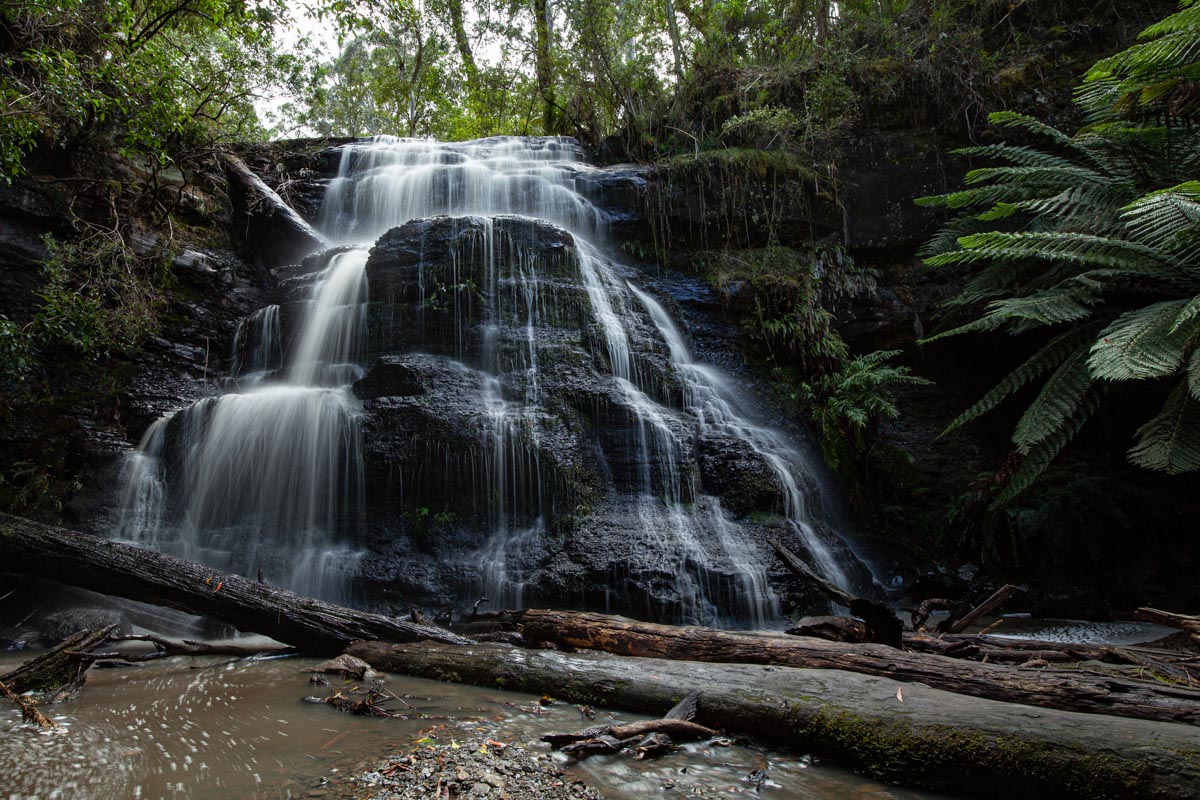 Henderson Falls - Great Otway National Park