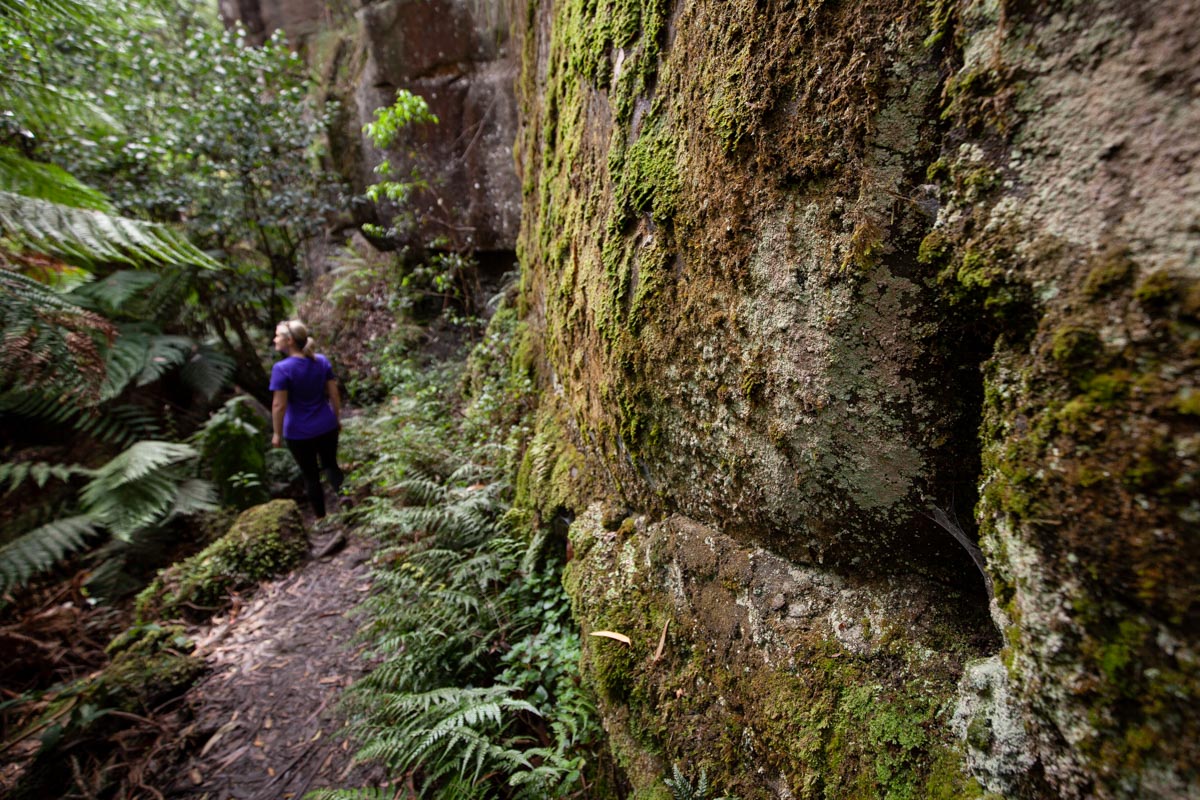 The Canyon - Great Otway National Park