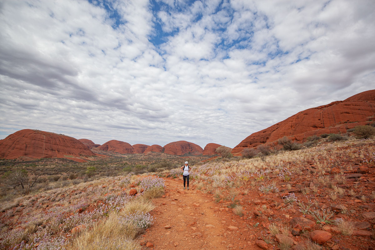 Hiking the Valley of the Winds - Uluru-Kata Tjuta National Park