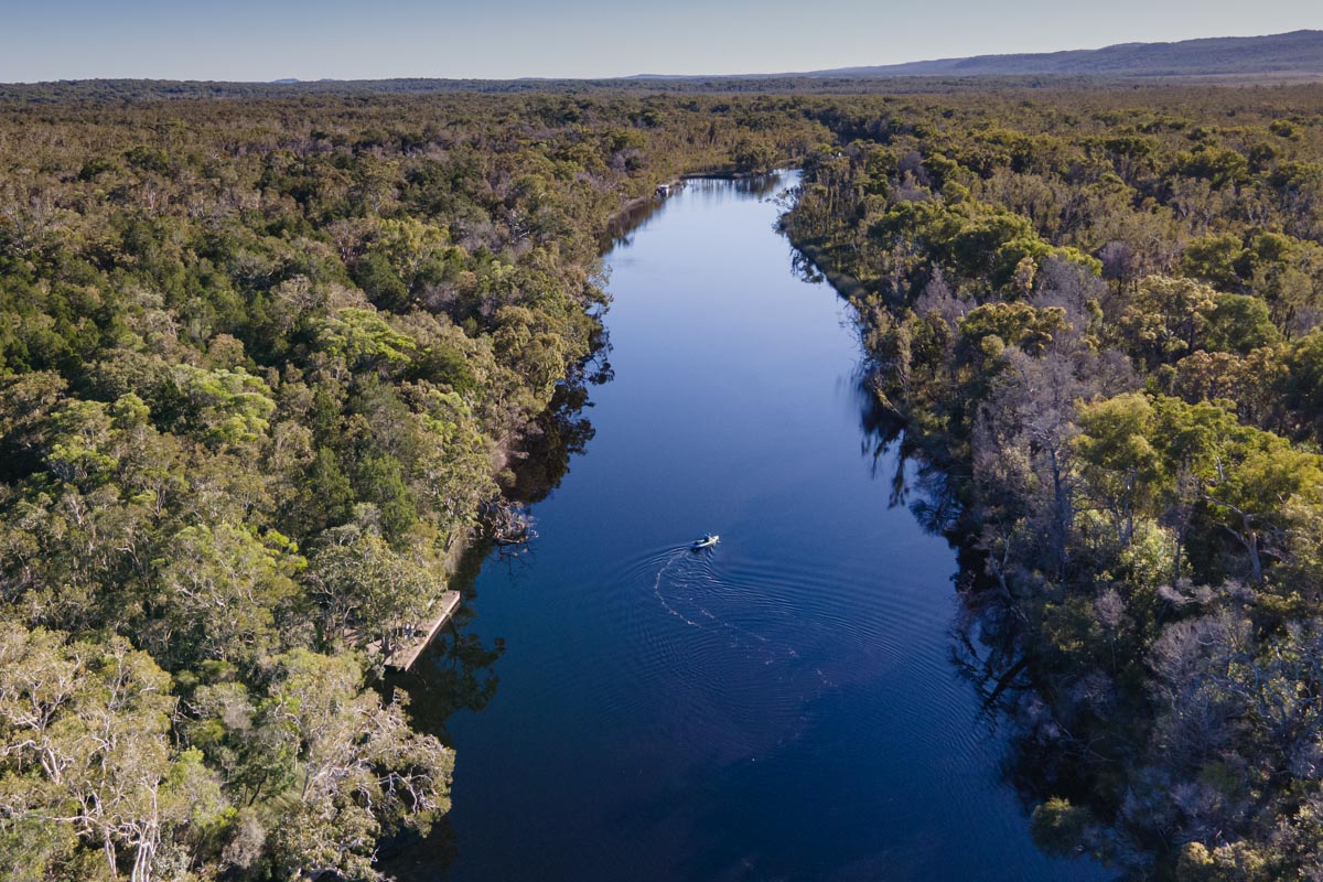 Kayaking the Noosa Everglades upriver