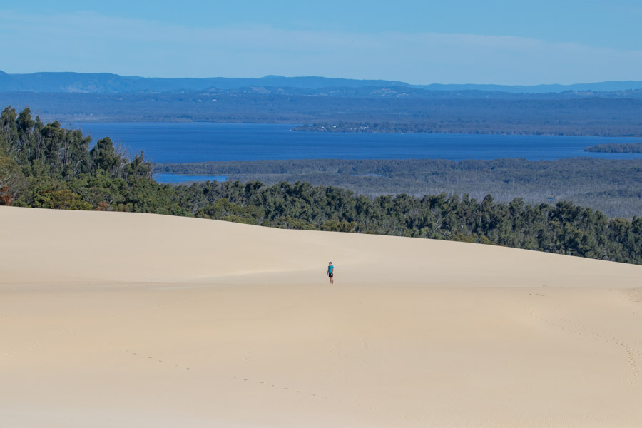 exploring the Cooloola Sandpatch